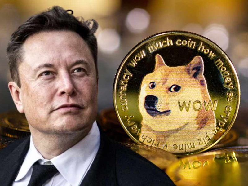 Dogecoin là gì? Sự thật của đồng tiền điện tử của Elon Musk 6 dogecoin-7