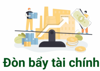 don-bay-tai-chinh-13