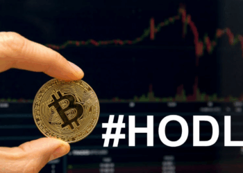 Hold Coin là gì? Giải thích về chiến lược HODL lâu dài
