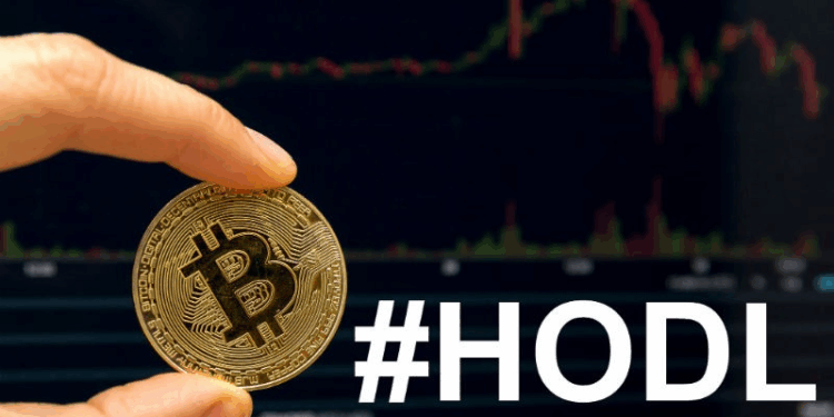 Hold Coin là gì? Giải thích về chiến lược HODL lâu dài 1 Hold Coin là gì? Giải thích về chiến lược HODL lâu dài