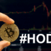 Hold Coin là gì? Giải thích về chiến lược HODL lâu dài 8 Hold Coin là gì? Giải thích về chiến lược HODL lâu dài