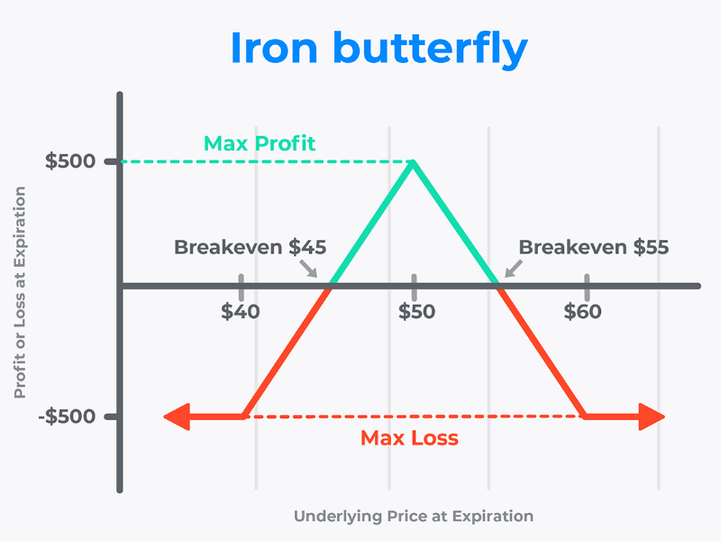 Hợp đồng quyền chọn là gì? Tầm quan trọng của hợp đồng 18 hop-dong-quyen-chon-19