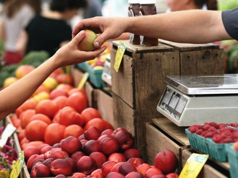 Hợp đồng quyền chọn là gì? Tầm quan trọng của hợp đồng 4 hop-dong-quyen-chon-4