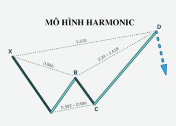 mo-hinh-nen-harmonic-1